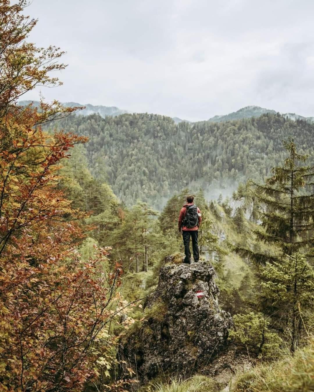 Ferienwohnung Blick Ins Gruene Rossleithen Buitenkant foto