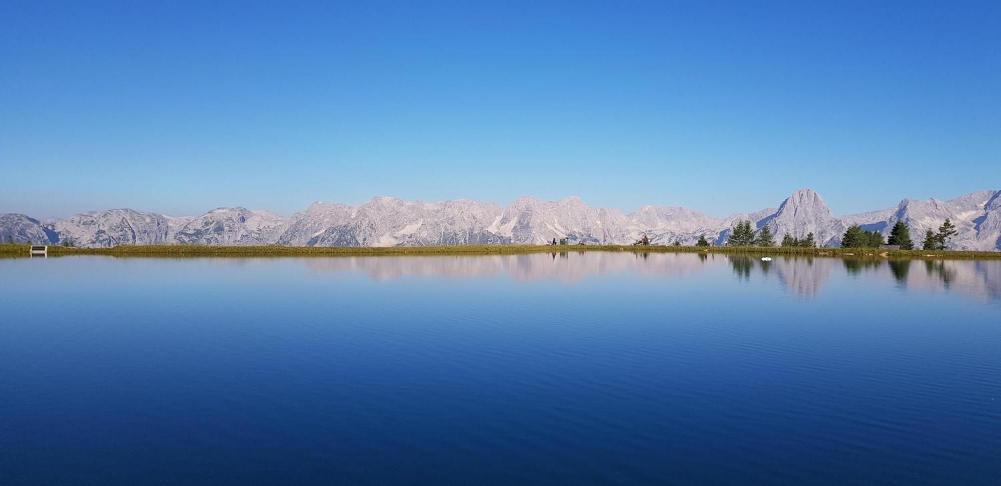 Ferienwohnung Blick Ins Gruene Rossleithen Buitenkant foto