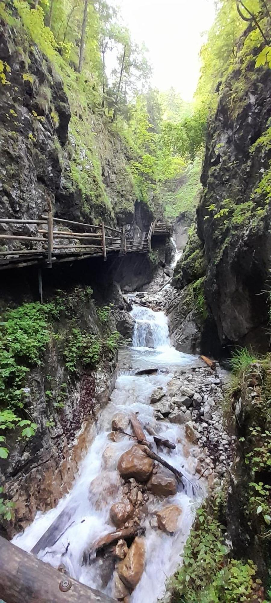 Ferienwohnung Blick Ins Gruene Rossleithen Buitenkant foto