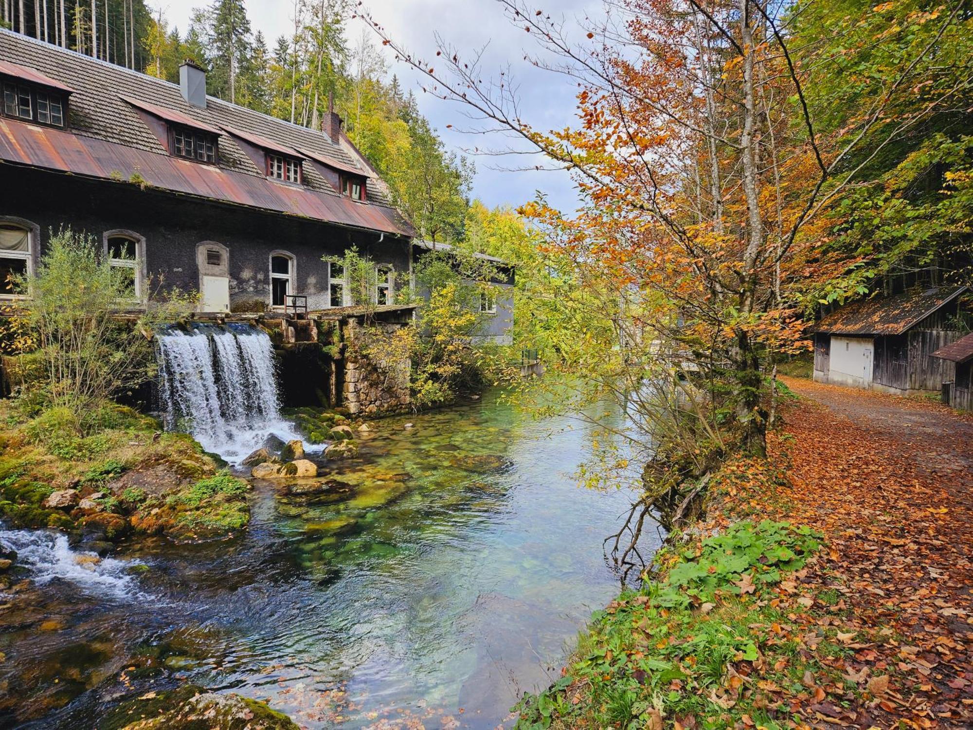 Ferienwohnung Blick Ins Gruene Rossleithen Buitenkant foto